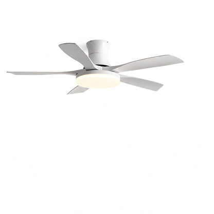 Modern 5-Blade LED Ceiling Fan - 40"/46"/56" Downrod & Flush Mount