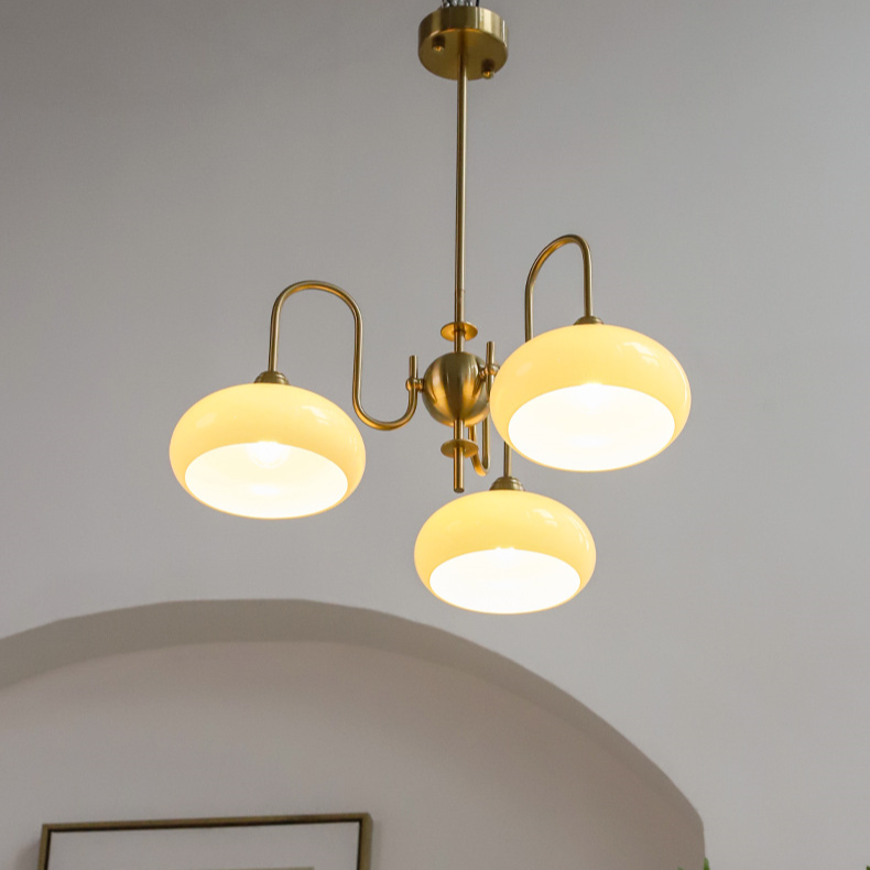 Modern Gooseneck Globe Chandelier - Mid-Century French Retro Pendant Light