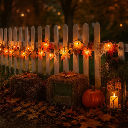 🎃 Halloween Pumpkin & Maple Leaf String Lights
