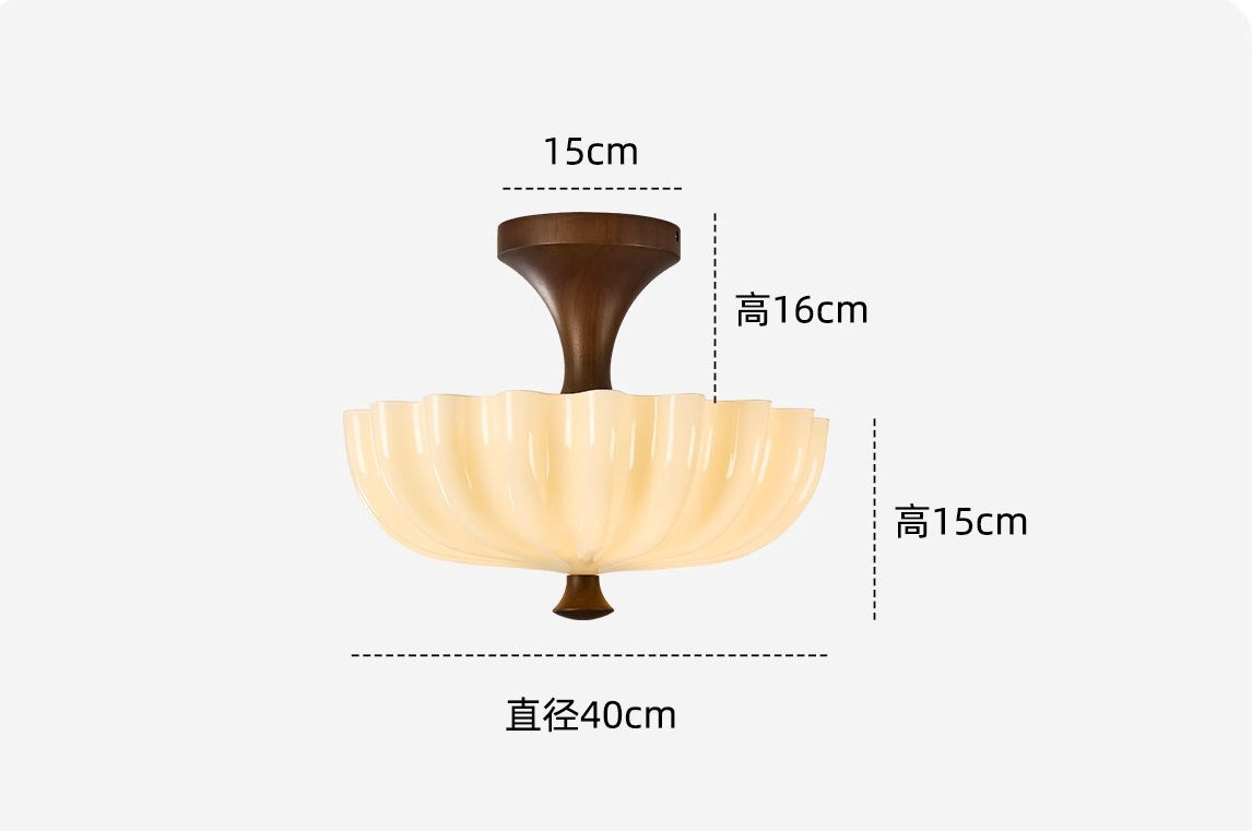 Vintage French Glass Ceiling Light for Bedroom