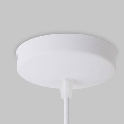 Colorful Iron Ceiling Light Fixture