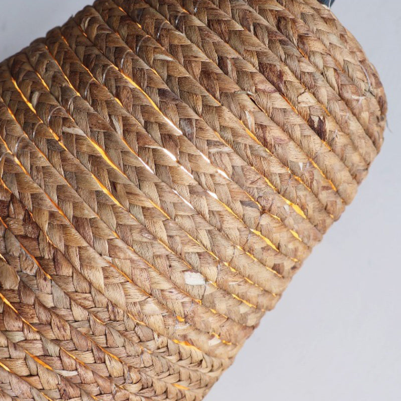 Seagrass Fringe Pendant Light Lamp