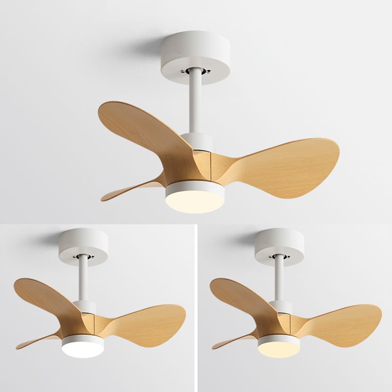 Metal Ceiling Fan Kid Style Single-Light 24''