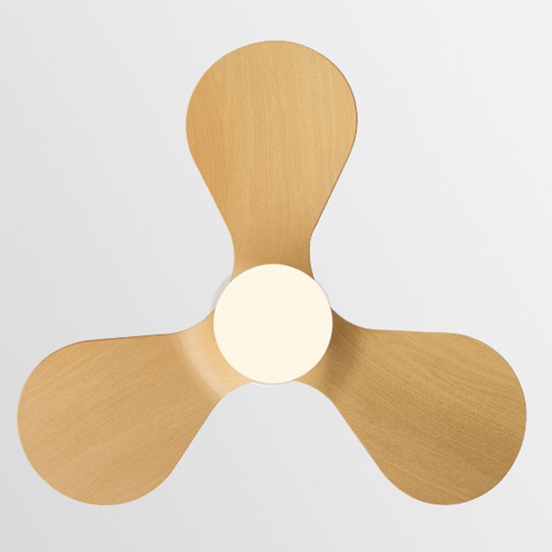 Metal Ceiling Fan Kid Style Single-Light 24''