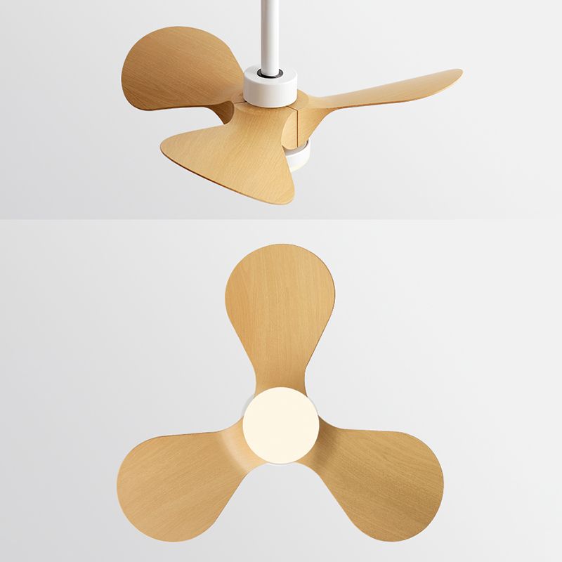 Metal Ceiling Fan Kid Style Single-Light 24''