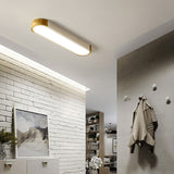 Load image into Gallery viewer, Minimalist Elliptical Geometry Ceiling Lights Fixture