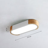 Load image into Gallery viewer, Minimalist Elliptical Geometry Ceiling Lights Fixture